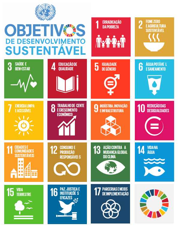 ONU/PNUD – Programa das Nações Unidas para o Desenvolvimento - Imagem 26